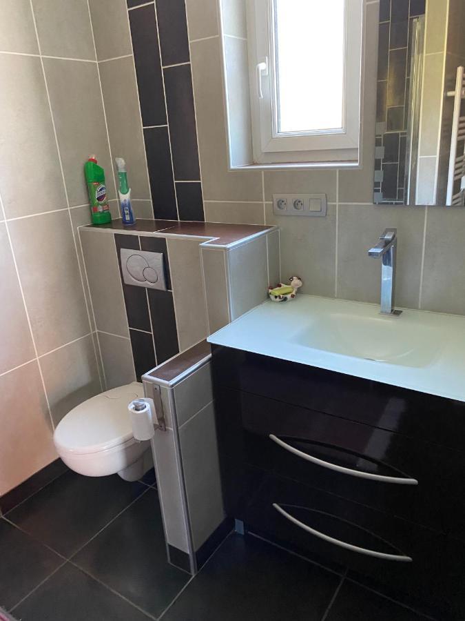 Appartement 14 Couchages Vallee Du Gresivaudan La Buissiere  Eksteriør billede